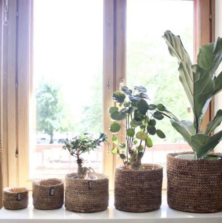 Banana Fibre Round Basket/Planter