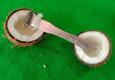 COCONUT SCRAPER